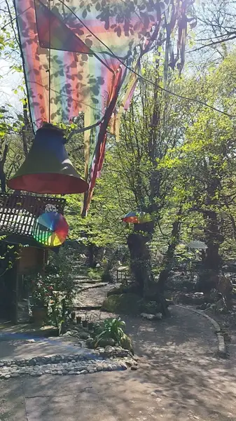 دو راهی کافه نویان