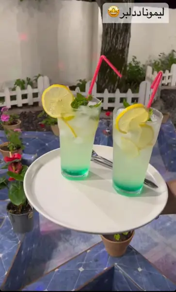  خونه باغ آتا