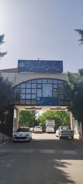  کافه روشا