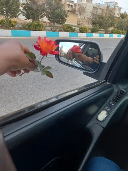  کافه وس