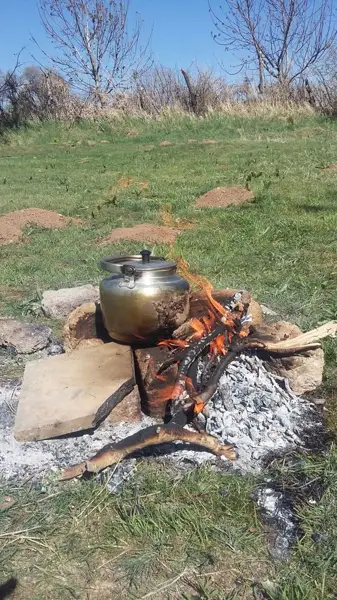 قهوه خانه