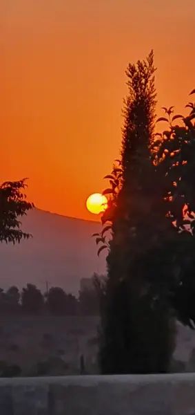  کافه کوچ