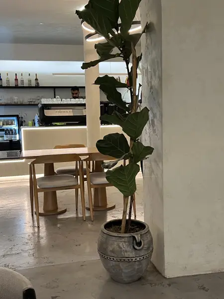  Lava cafe