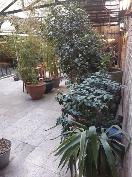  کافه حیاط هفت اقلیم