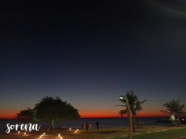 کافه شاورما سیمرغ
