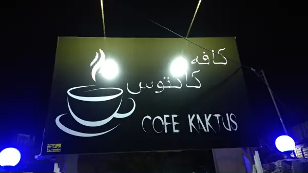  Cofe cactus