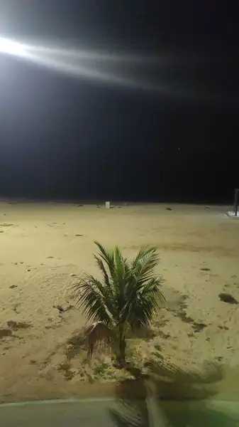  رستوران شاندیز سرسبز