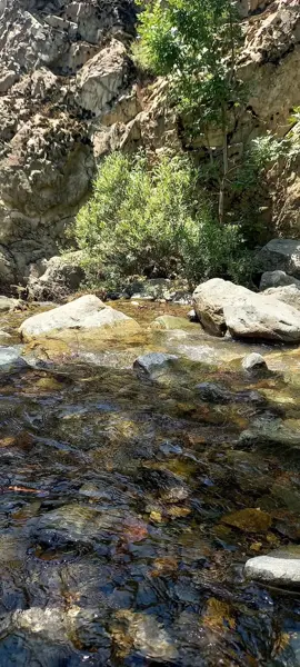  کلبه سربند غلاک
