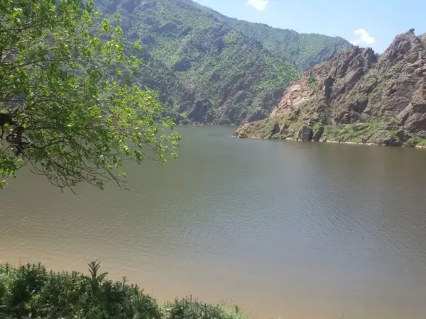 کافه بستنی هجیج