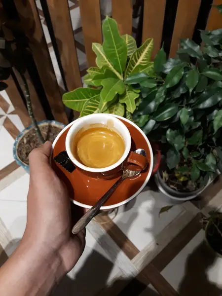  کافه دوون