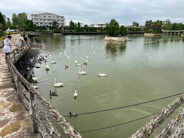 Garden Cafe - Setareh Darya Hotel - کافه باغچه هتل ستاره دریا