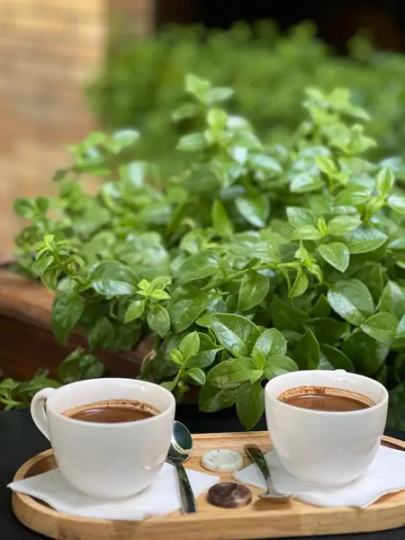  کافی شاپ روناس