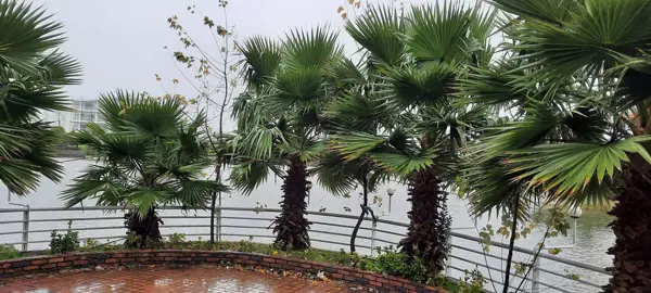  Garden Cafe - Setareh Darya Hotel - کافه باغچه هتل ستاره دریا