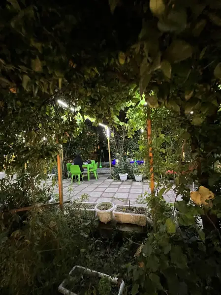  کوچه باغ