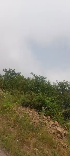  غذاخوری رحیم زاده