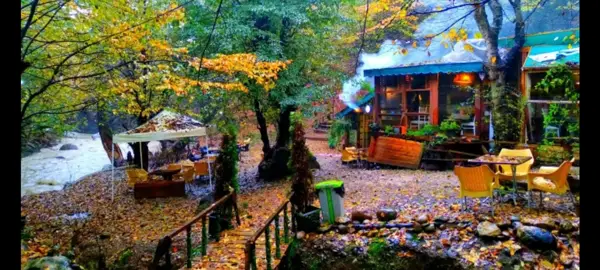 دو راهی کافه نویان