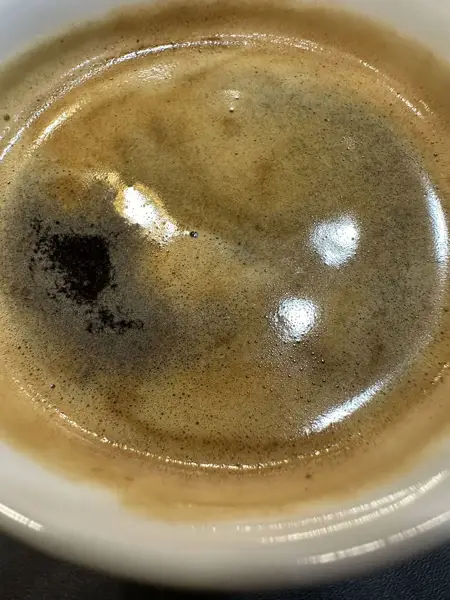  کافه ویونا
