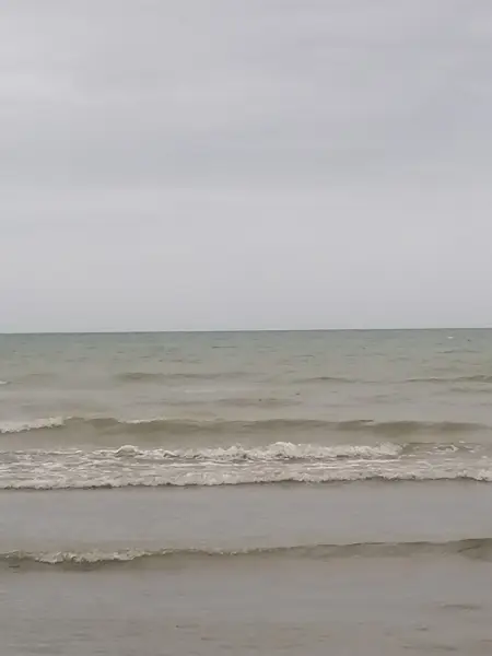  کافه رستوران بهشت گمشده