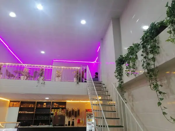  کافی شاپ ماه گل
