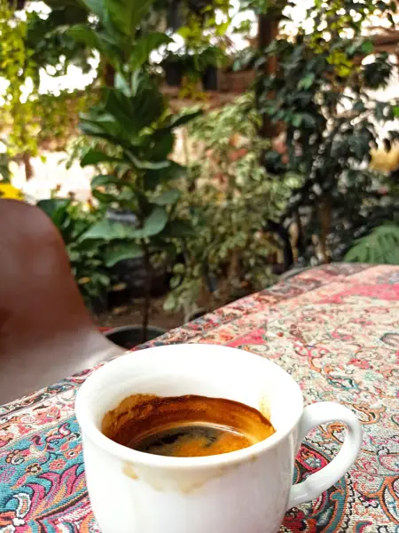 کافه گل