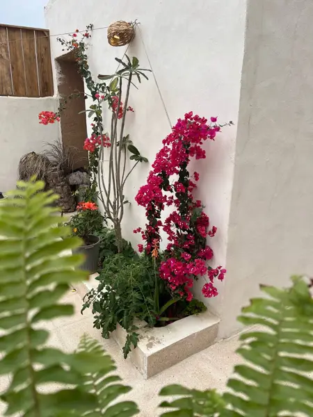  خانه گالری فلانجا - Folanja , جان پناهی میان هستی و نیستی