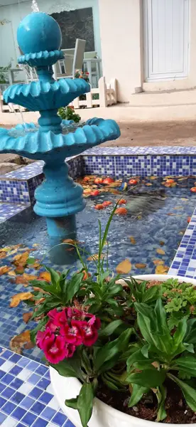  کافه مال روناهی