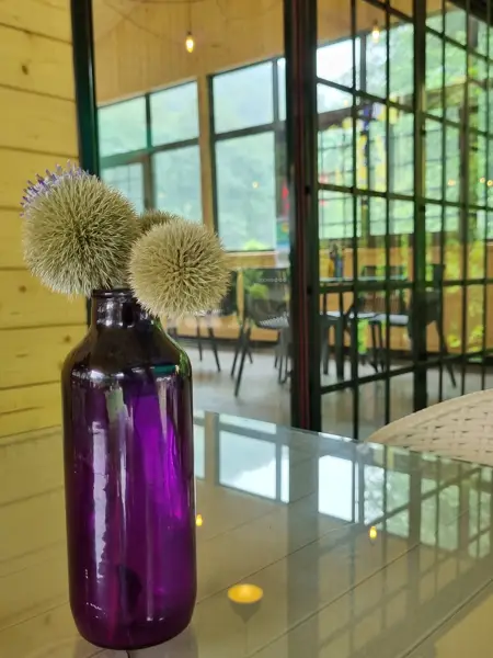  Ghezel park cafe