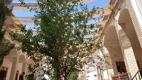  رستوران سنتی مرشدی