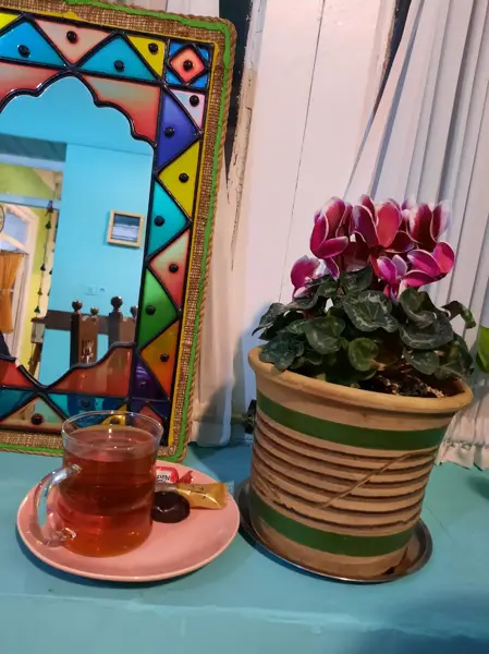  کافه رستوران رافا