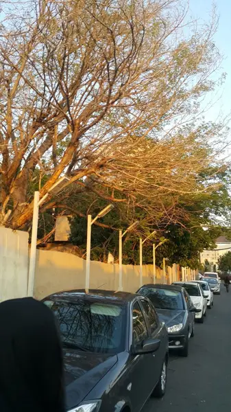  کافی شاپ امیر شکلات پلاس