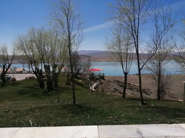  کافی شاپ سوره