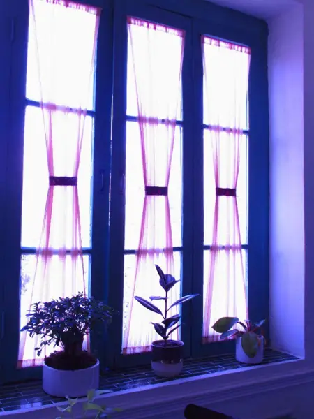  کافه کتاب دمت 