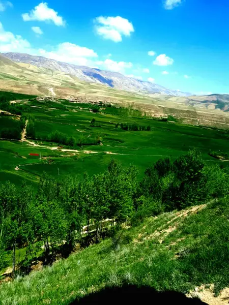  کافه بومی