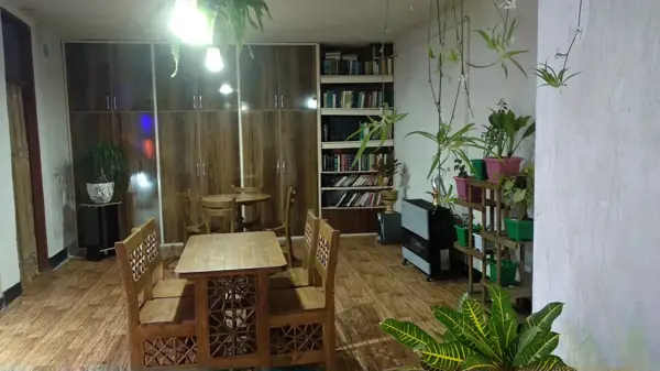  Cofe cactus