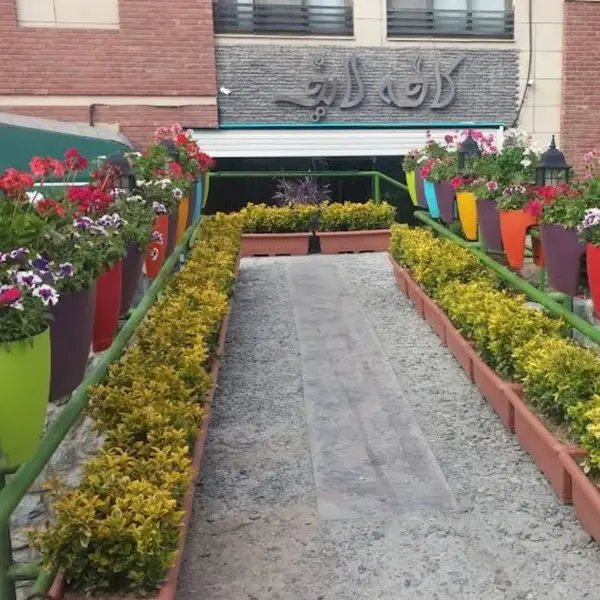  لایف