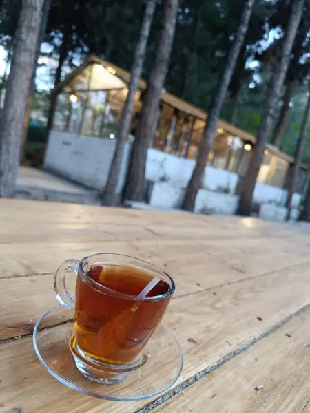  کافه پیک