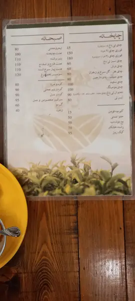  کافه چایخانه تی باغ