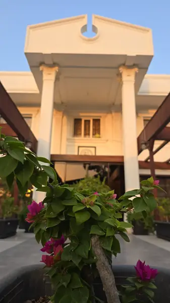  رستوران آناناس توران