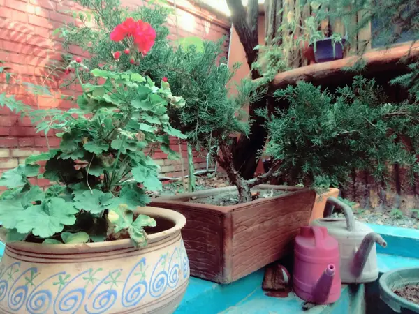  Kal Cafe