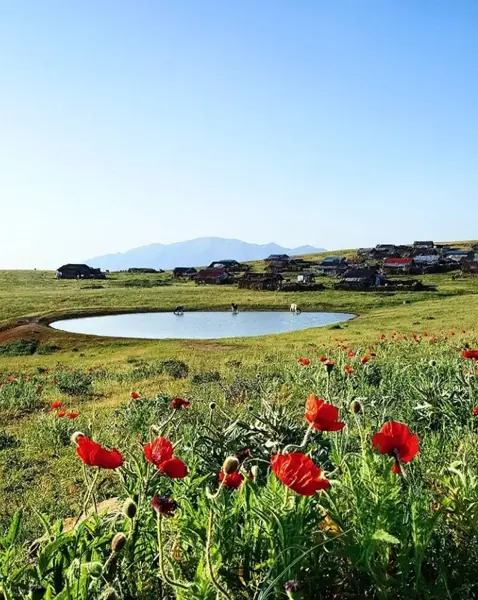  کافه دریا