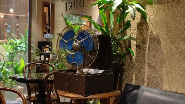  کافی شاپ دوک