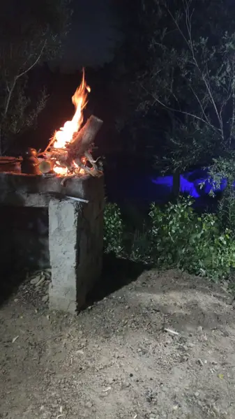  کافه ایل