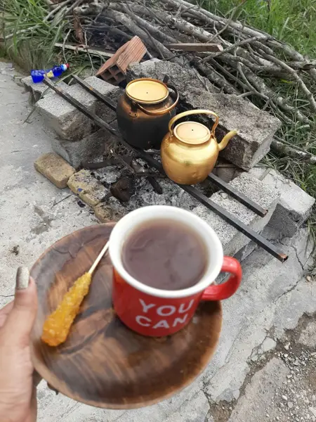  کافی پلاس