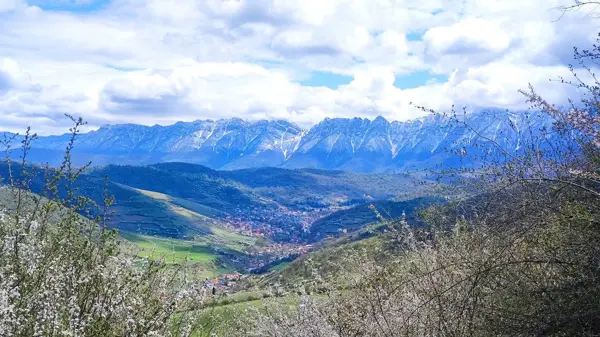  رستوران چشمه