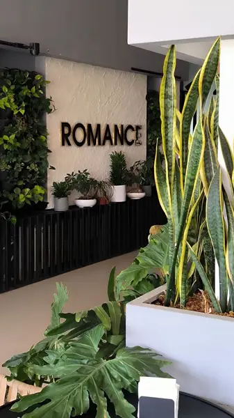  Cafe Romance