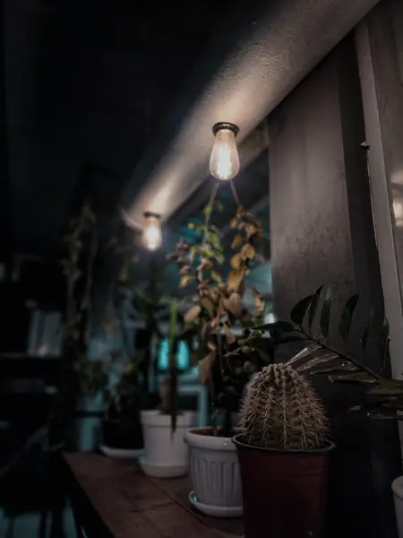  HART COFFEE