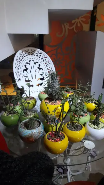  آی اف سی