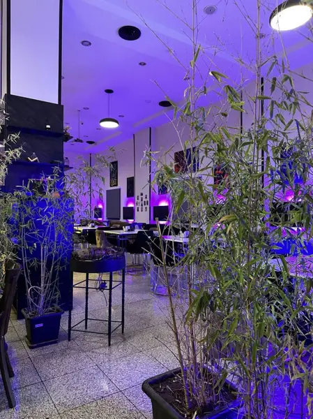 کافه رستوران فرندز