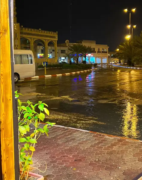  عربیکا کافه
