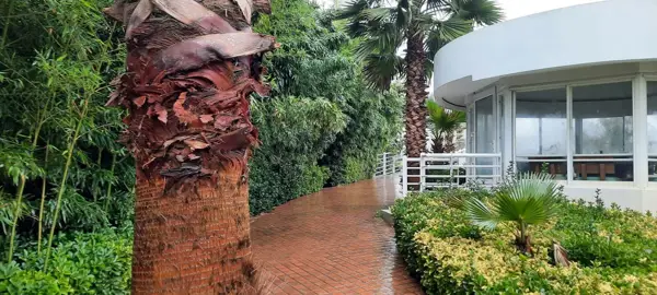  Garden Cafe - Setareh Darya Hotel - کافه باغچه هتل ستاره دریا